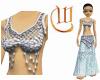 Silver BellyDance Top