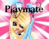 Playmate playboy