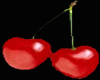 berry21-elsalfa
