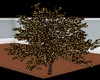 Sparkling_Fireworks_Tree