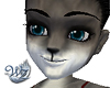 Gray Wolf Skin