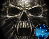 Twin Skull Dragons