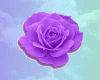 V~PurpleRose
