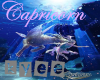 Capricorn starsign