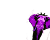 }P${ Mag!cMarshmelo tr!p