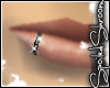 +SS+ Static Lip Ring M