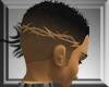 Barbed Wire Shade