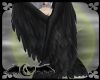 Black Folding AngelWings