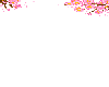 FRAME CHERRY BLOSSOM PRO