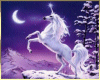 UNICORN13