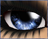 Waterfall Blue Eyes