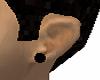 Standard black plugs