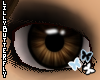 [L] Brown i-Soft