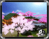 [ACS] SAKURA HEYA