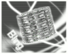 [HH] (L)~Shine King (BR)