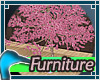 Sakura Tree: Rose Color