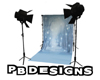 PB Pro Backdrop Snowfall