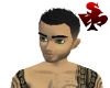 DarkGrey spiky hair cut