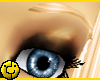 Pure Blonde Eyebrows
