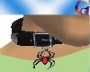 Collar w/Spider Charm