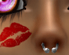 [SWC] Stainless CBSeptum