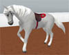 *GraySaddleHorse (A)
