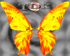 Fantasy Butterfly Wings
