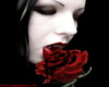Vampire club
