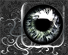DD Black Diamond Eyes