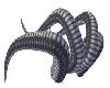 Medusa Horns (animated)