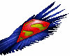 Super S Wings