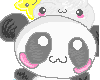CUTe PanDa