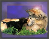 Mother Wolf