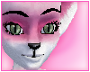Candychan Bundle