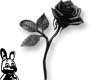 Black Rose (Left)