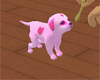 Candy Puppy