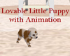 Cute Lovable Puppy