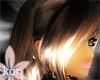 golden aima