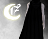 The Black Cape (animated