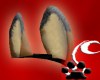 [N] Kanga Ears