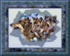 Wolf n Winter