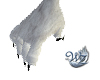 Gray Wolf Paws F