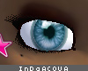 [V4NY] InDaAcqua