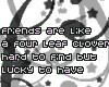 Friends are hard to find