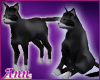Black Kitty