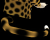Cheetah Tail