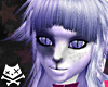 Product Image for Blueberry Okimi