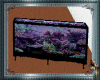 Bellas Fish Tank
