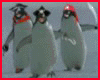 Animated Penguin Pirates
