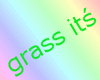 grass